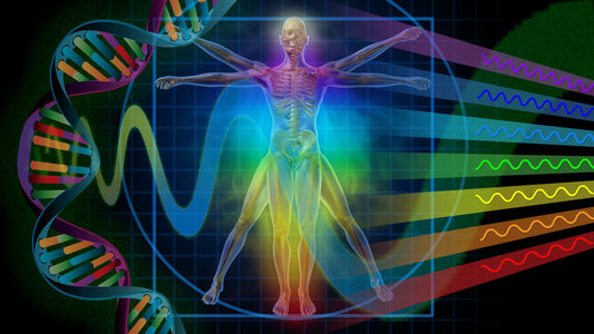 Reiki Membership